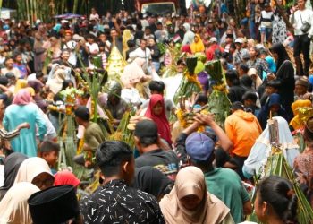Rebutan Gunungan dan Tanam Kepala Sapi Sebagai Upaya Tolak Bala