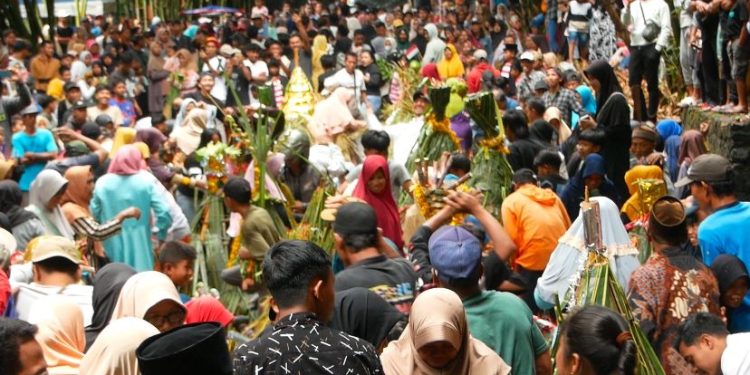 Rebutan Gunungan dan Tanam Kepala Sapi Sebagai Upaya Tolak Bala