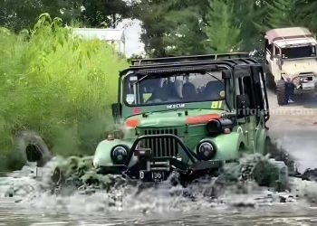 Harga Tiket Offroad Hutan Cemara Surabaya dan Cara Pemesanan Lengkap