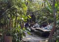 Gartenhaus Malang Eksis di Tengah Persaingan Brand Kopi Nasional, Jadi Favorit Turis