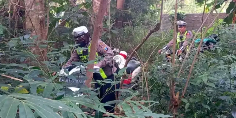 Pemilik Sepeda Motor di Lumajang Simpan Kendaraan di Kebun untuk Hindari Operasi Patuh