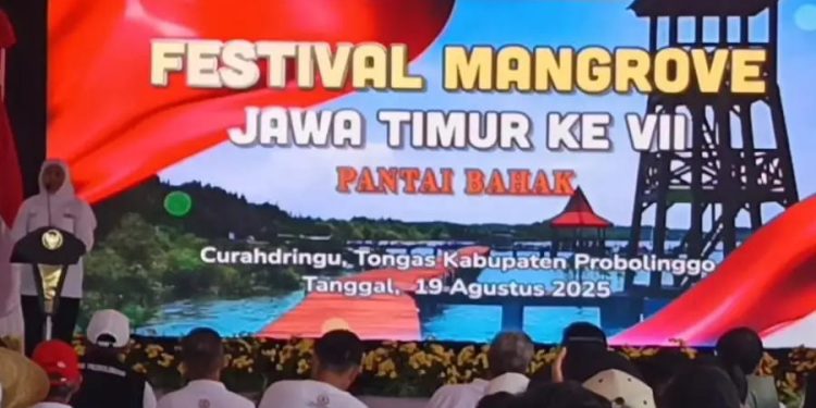 Festival Mangrove ke-7 Probolinggo sebagai Ajang Pelestarian Ekosistem