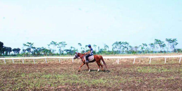Kejuaraan Balap Kuda Kediri 2025 Siap Digelar dengan Total Hadiah Rp65 Juta