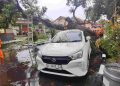 Angin Kencang Mojokerto Tumbangkan Pohon dan Menyebabkan Mobil Ringsek