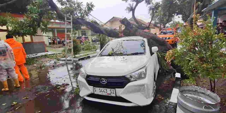 Angin Kencang Mojokerto Tumbangkan Pohon dan Menyebabkan Mobil Ringsek