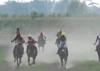 Cabor Berkuda Kediri Menangi Juara Umum Pacuan Kuda Jatim 2025 dengan 81 Poin