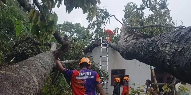 Angin Kencang Hancurkan Rumah dan Gudang Ikan di Bondowoso