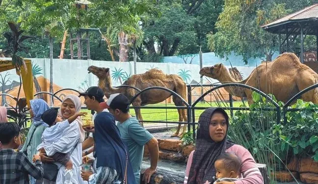 Kebun Binatang Surabaya Perluas Layanan Menyambut Musim Hujan