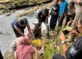 Jasad Bayi Laki-Laki Ditemukan di Banyuwangi dalam Kondisi Mengenaskan