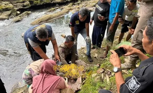 Jasad Bayi Laki-Laki Ditemukan di Banyuwangi dalam Kondisi Mengenaskan