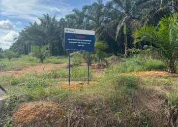 Dugaan Kejanggalan IUP Perusahaan Timah di Belitung