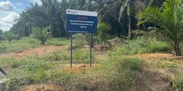 Dugaan Kejanggalan IUP Perusahaan Timah di Belitung
