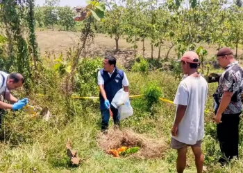 Buru Pelaku Pembuangan Bayi di Hutan Malo Bojonegoro, Polisi Periksa RS dan Puskesmas