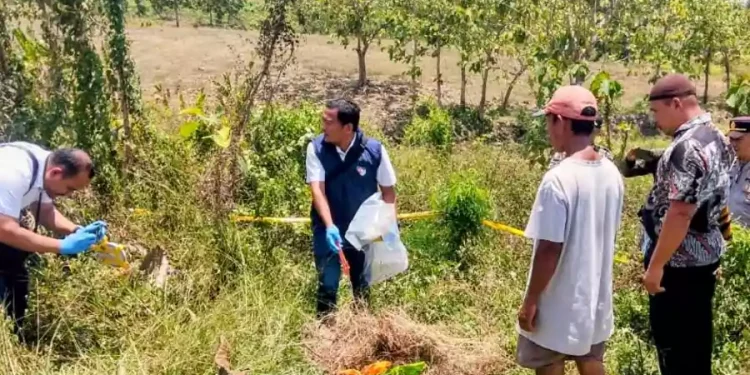 Buru Pelaku Pembuangan Bayi di Hutan Malo Bojonegoro, Polisi Periksa RS dan Puskesmas