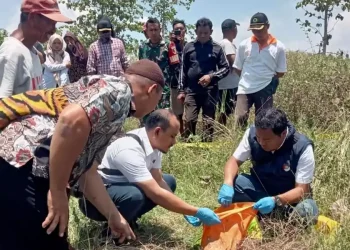 Jenis Kelamin Bayi Ditemukan Membusuk di Hutan Malo Bojonegoro Terungkap