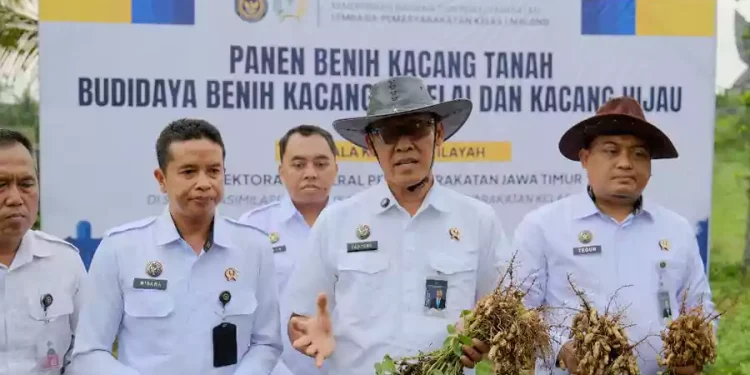 Lapas Malang Panen Kacang Tanah Hasil Tanam Menteri Pertanian