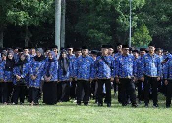 4.502 Honorer Resmi Menjadi PPPK Paruh Waktu di Bondowoso dengan Gaji Skema Lama