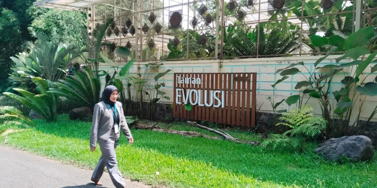 Taman Evolusi Kebun Raya Purwodadi Resmi Dibuka untuk Menampilkan Sejarah Tumbuhan