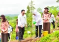 Khofifah Tanam 5000 Bibit Pohon di Lumajang Dukung Net Zero Emission 2060