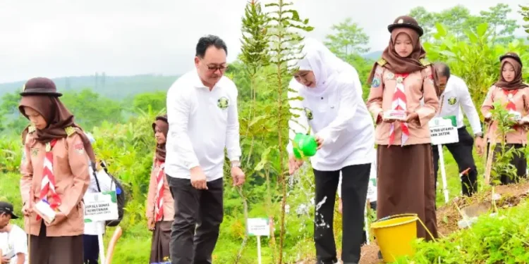 Khofifah Tanam 5000 Bibit Pohon di Lumajang Dukung Net Zero Emission 2060
