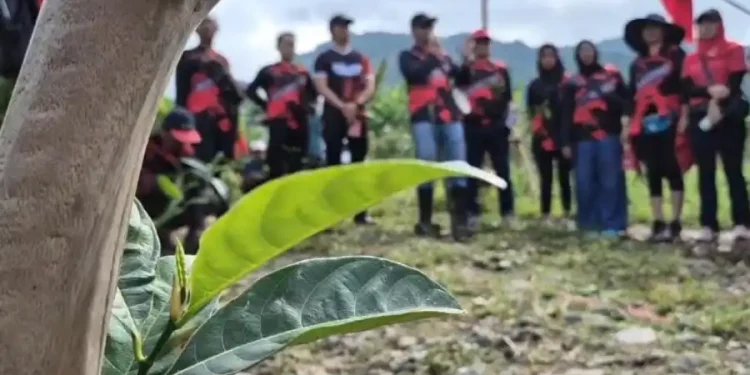 PDI Perjuangan Jember Lestarikan Tri Hita Karana dengan Tanam 1053 Bibit Pohon dan Sebar Benih Ikan